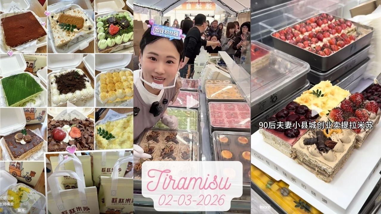 Tiramisu Cake Livestream Sale (70 trays)|Zhao Zhao 