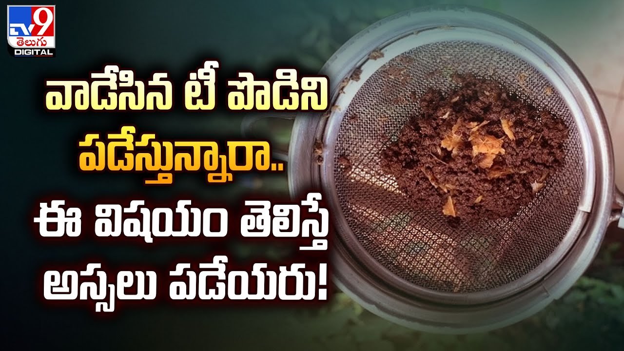 వాడేసిన టీ పొడిని పడేస్తున్నారా.. ఈ విషయం తెలిస్తే అస్సలు పడేయరు! - TV9