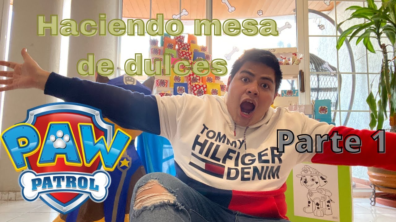 Fiesta de Paw Patrol / Parte 1 ♥️😱 david gómez