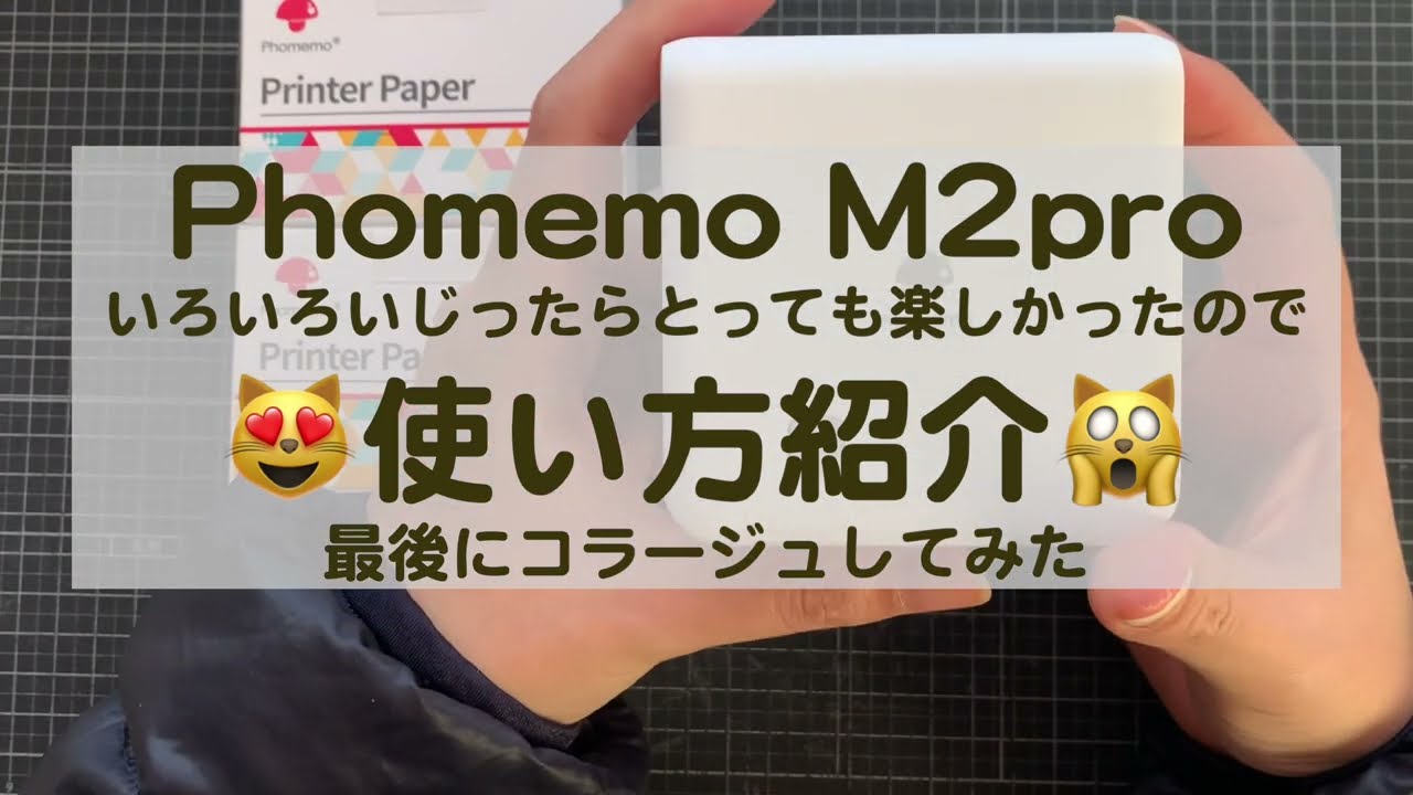 【声あり】Phomemo M2proで遊ぶ