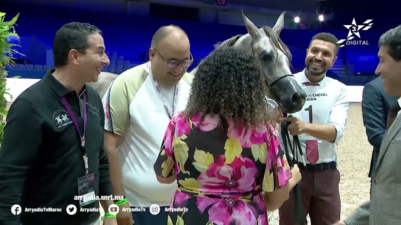 روبورتاج | الجديدة | المسابقة الدولية لجمال الخيول الخيول العربية الأصيلة ضمن معرض الفرس بالجديدة