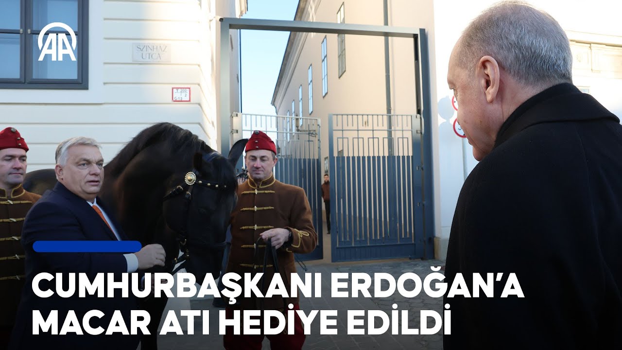 Cumhurbaşkanı Erdoğan’ın Macaristan ziyaretinde Başbakan Viktor Orban Macar atı hediye etti