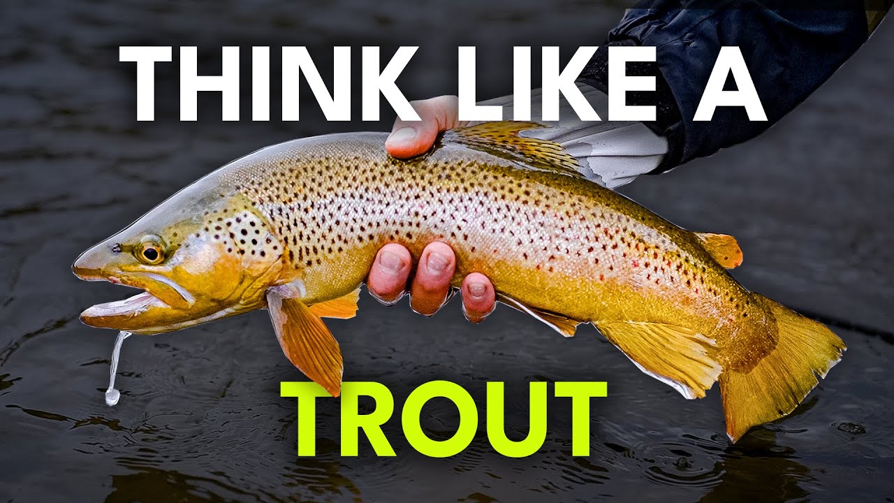 Everything to Know About Trout — Behavior & Identification 101 | Ep. 73