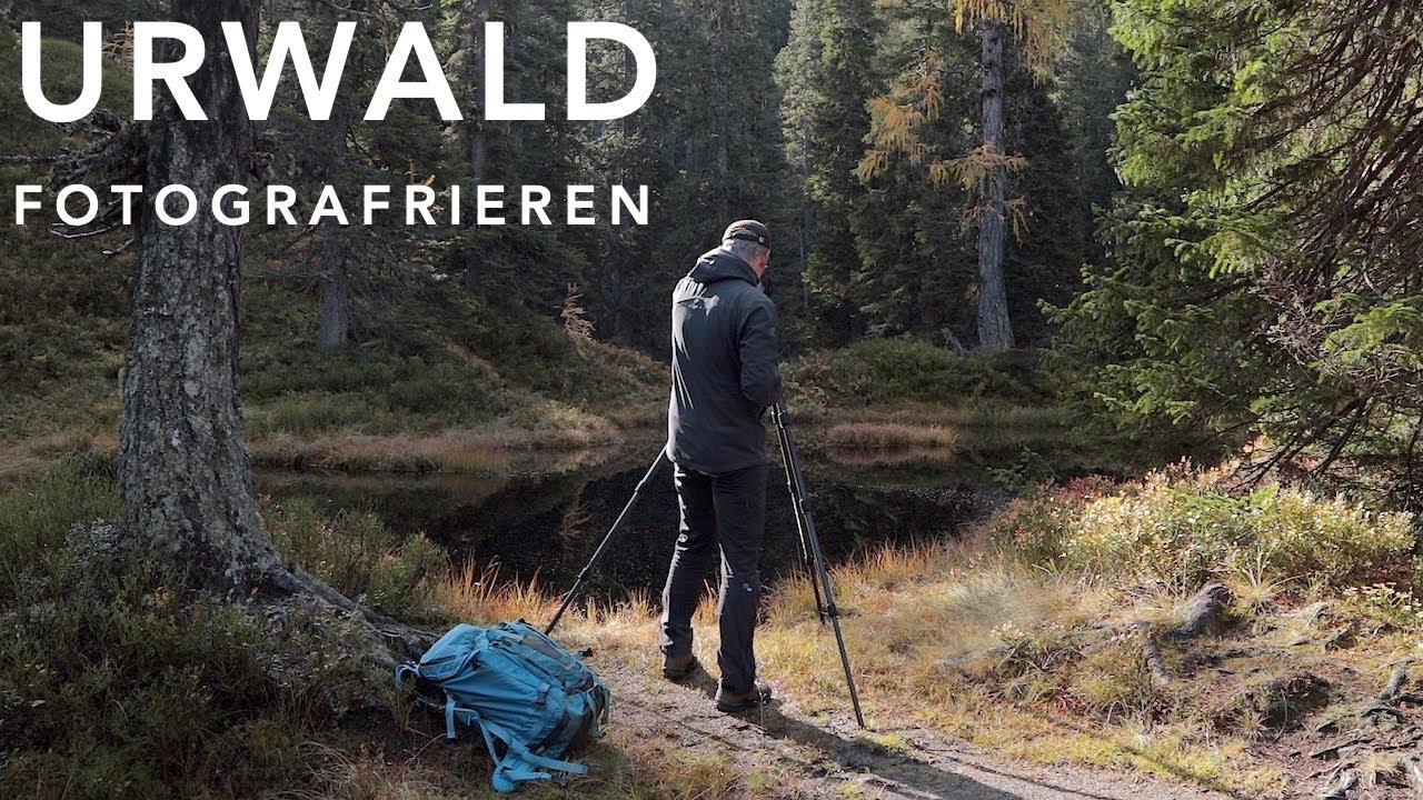 Fotografieren im traumhaften Rauriser Urwald