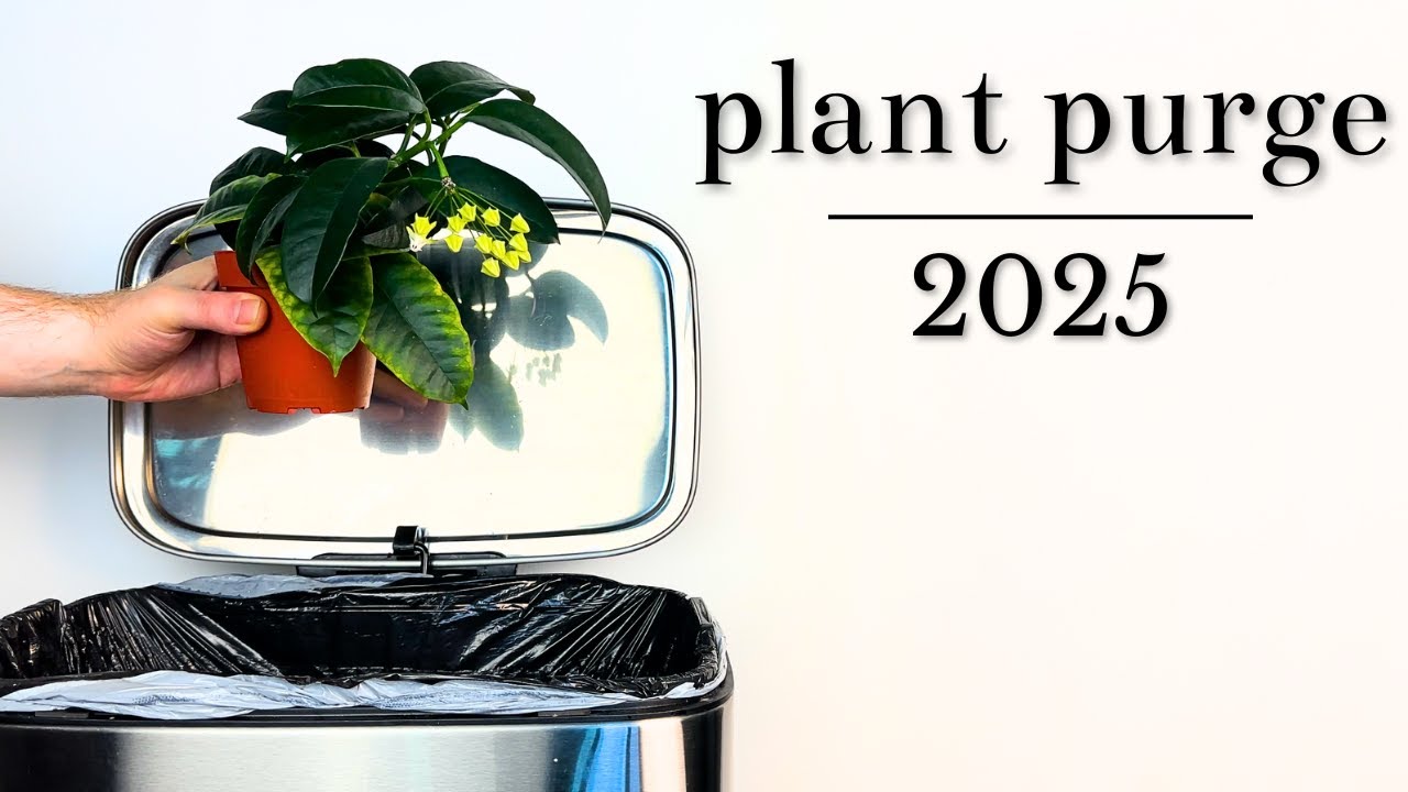 Throwing Out My Plants | Plant Purge 2025