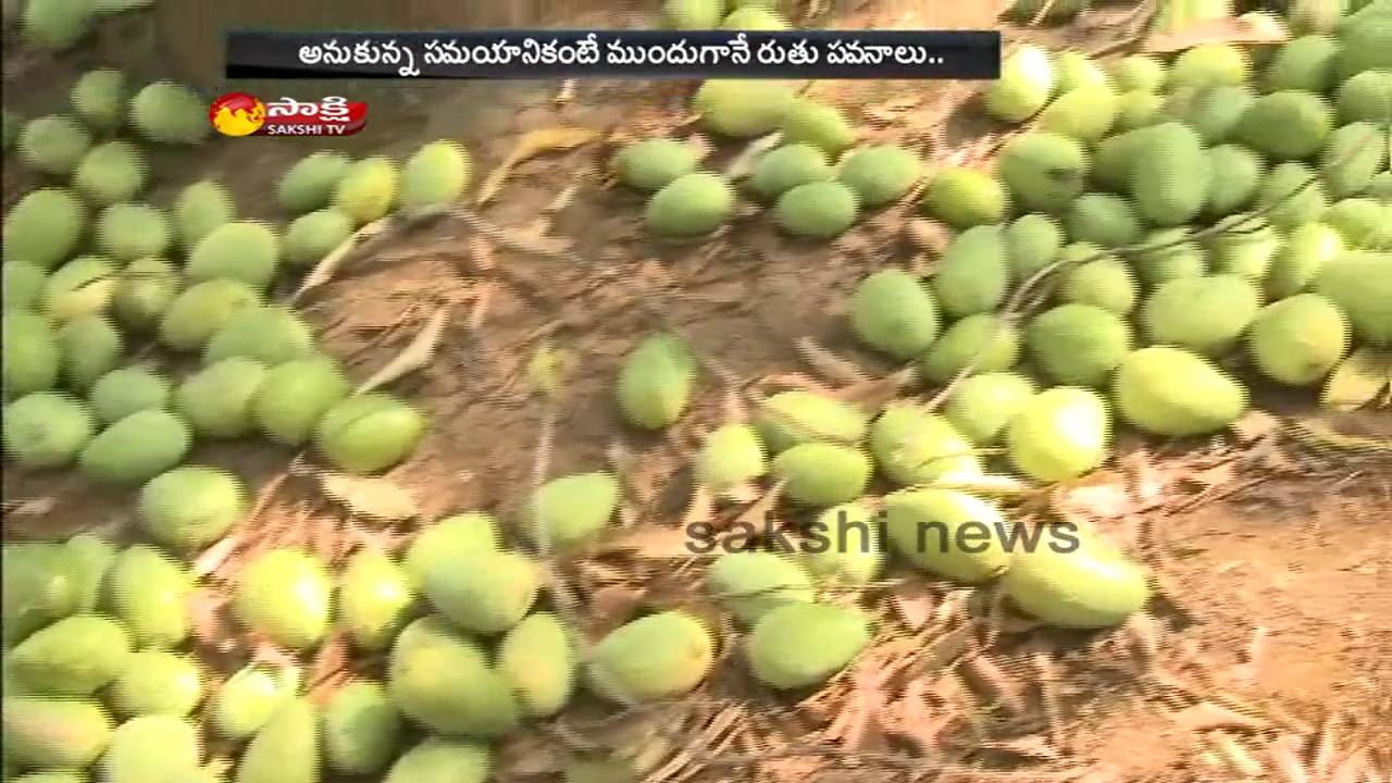 Heavy Rains Hits AP: Many Trees and Crops Damaged