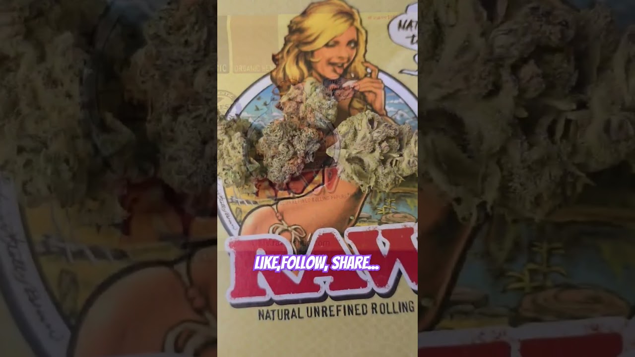 #highest #rated #review #dispensary #newjersey #edible #cat #2024