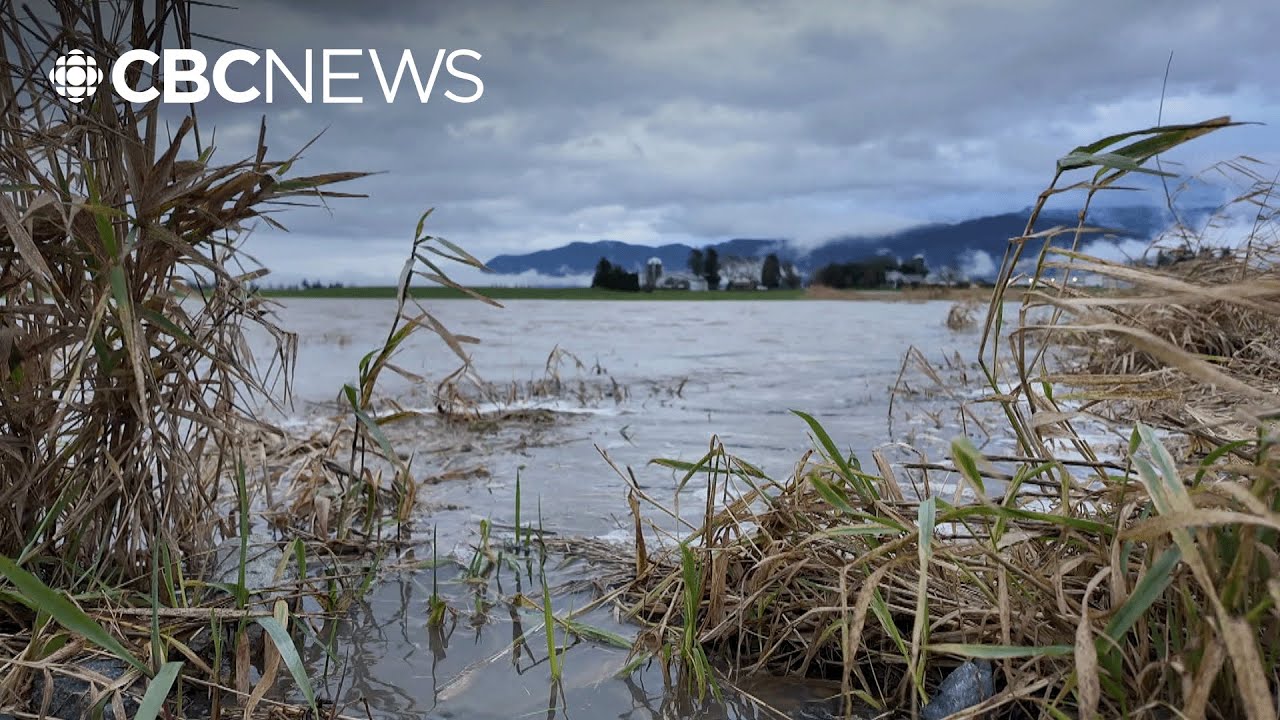 Why experts are pushing to flood agricultural land in B.C.