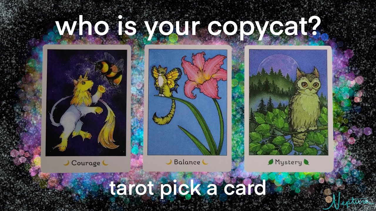 WHO IS YOUR COPYCAT AND WHY DO THEY COPY YOU? 🙀👯‍♀️🐈‍⬛ TAROT PICK A CARD 🧿