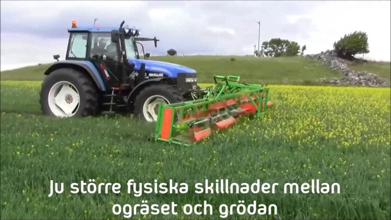 CombCut - ogr&auml;sbek&auml;mpning i ekologisk odling