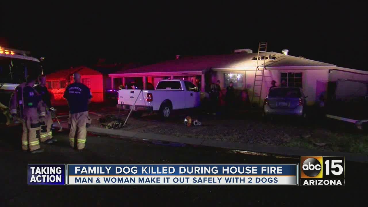 PHX Fire: 1 dog dead after blaze at house