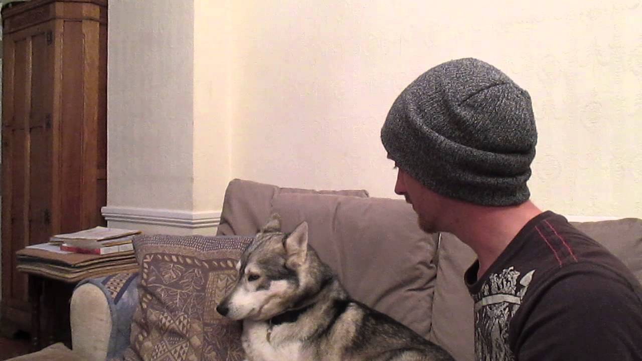 Northern Inuit Ash Can Sing Better Than Jessie Jay - DSNERV