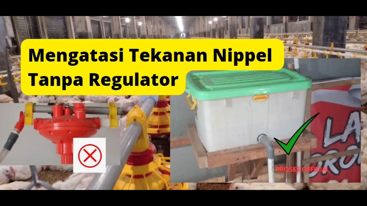 how to control watering nippel system' without regulator