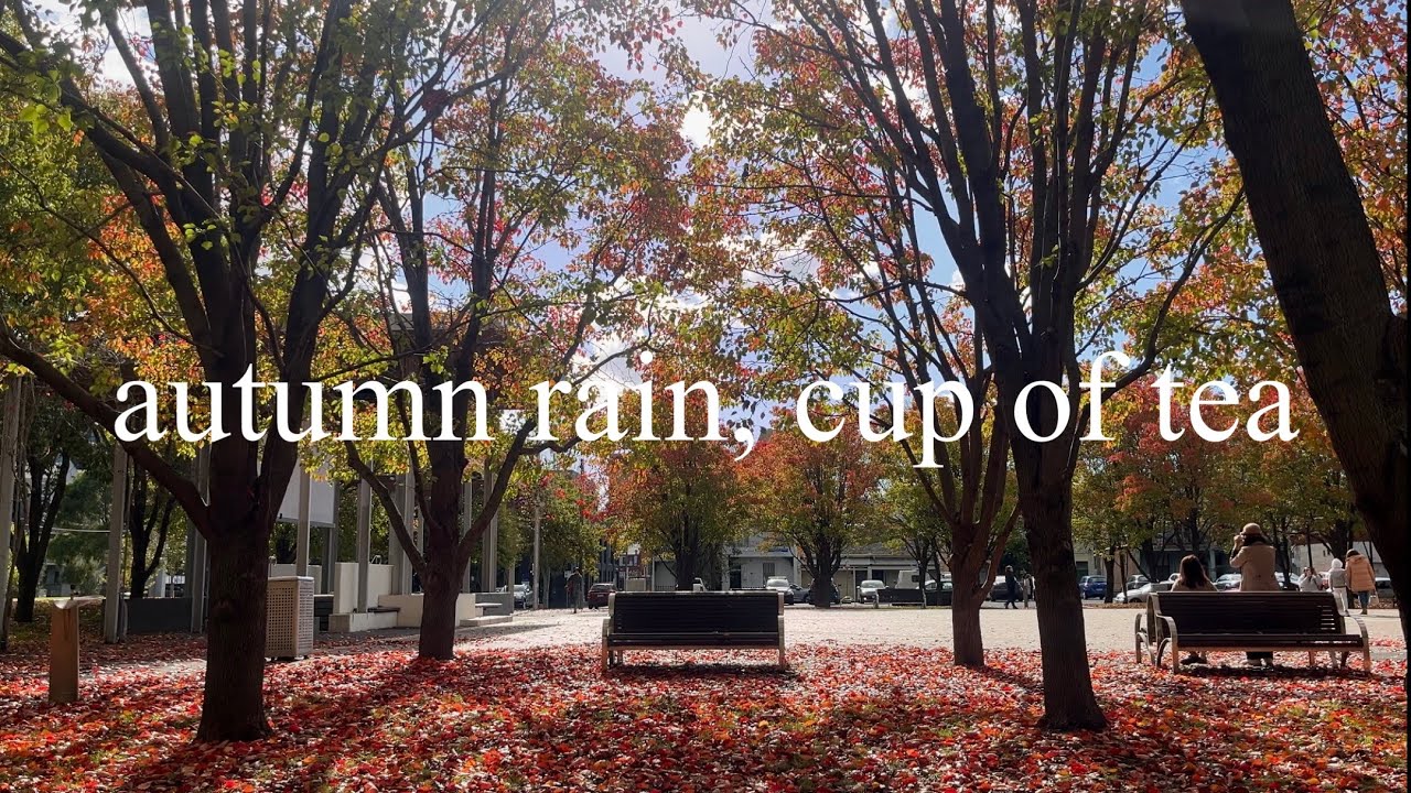 autumn rain, cup of tea