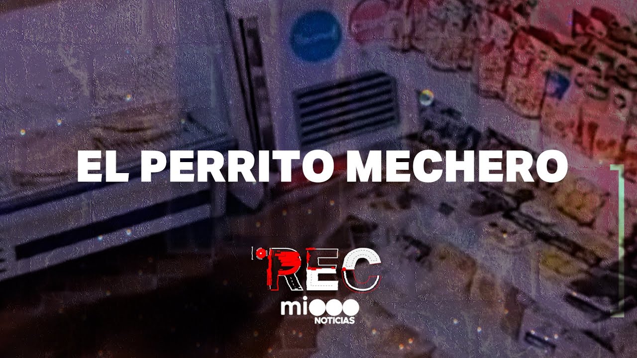 EL PERRITO MECHERO - LA BANDA DEL UTILITARIO - 