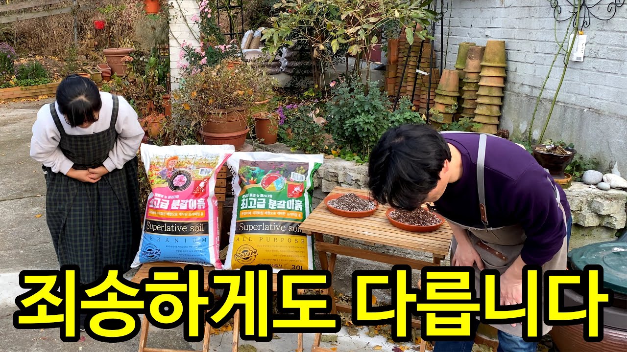 같은 최고급 분갈이 흙이 아닙니다