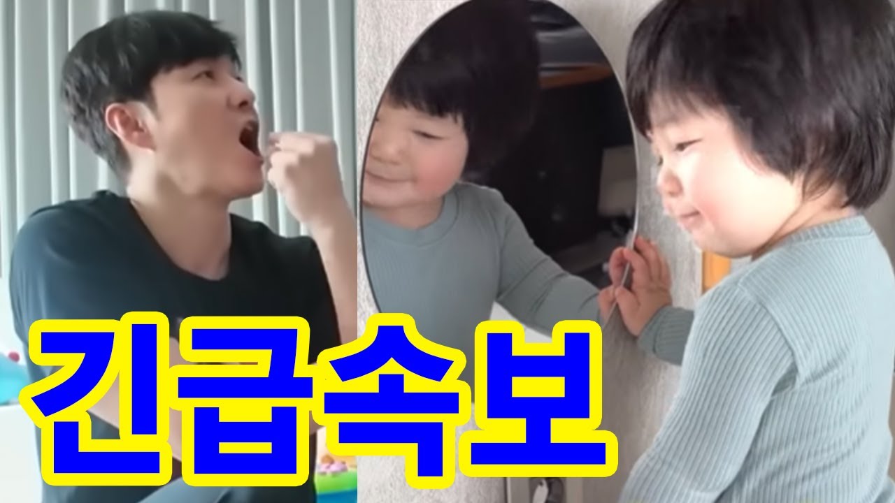 이렇게 천사 같은 얼굴의 아기가 이런 식성을 가졌다고?! 아빠 음식 앞에서 완전히 달라진 12개월 심하루의 모습. 너무 충격적인 폭풍 먹방에 계속 다시 보게 된다.