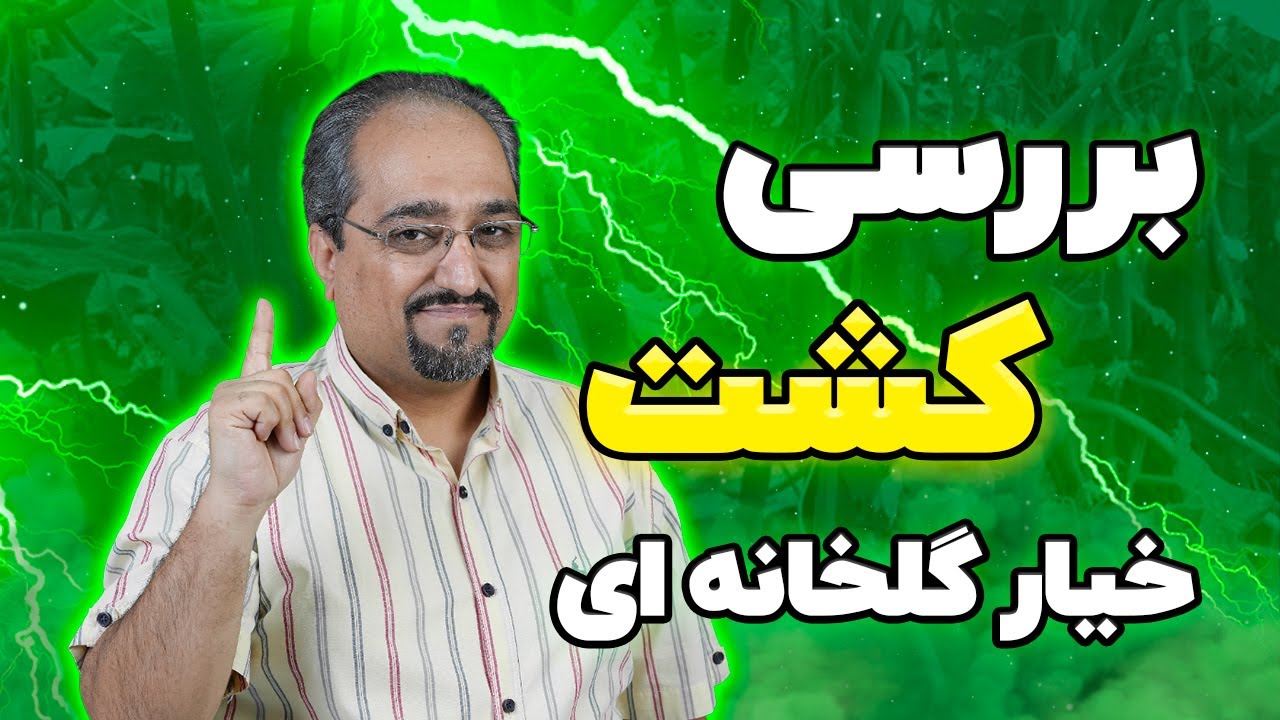 بررسی کشت خیار گلخانه ای 🥒#دکتر_جلال_علیون