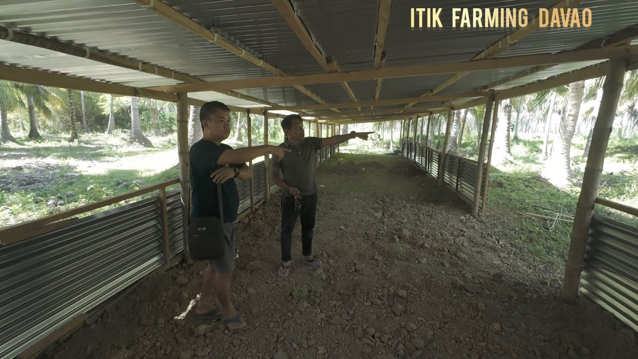Sale's Manager Ng Isang Company Mag Itikan At Ito ang Farm 
