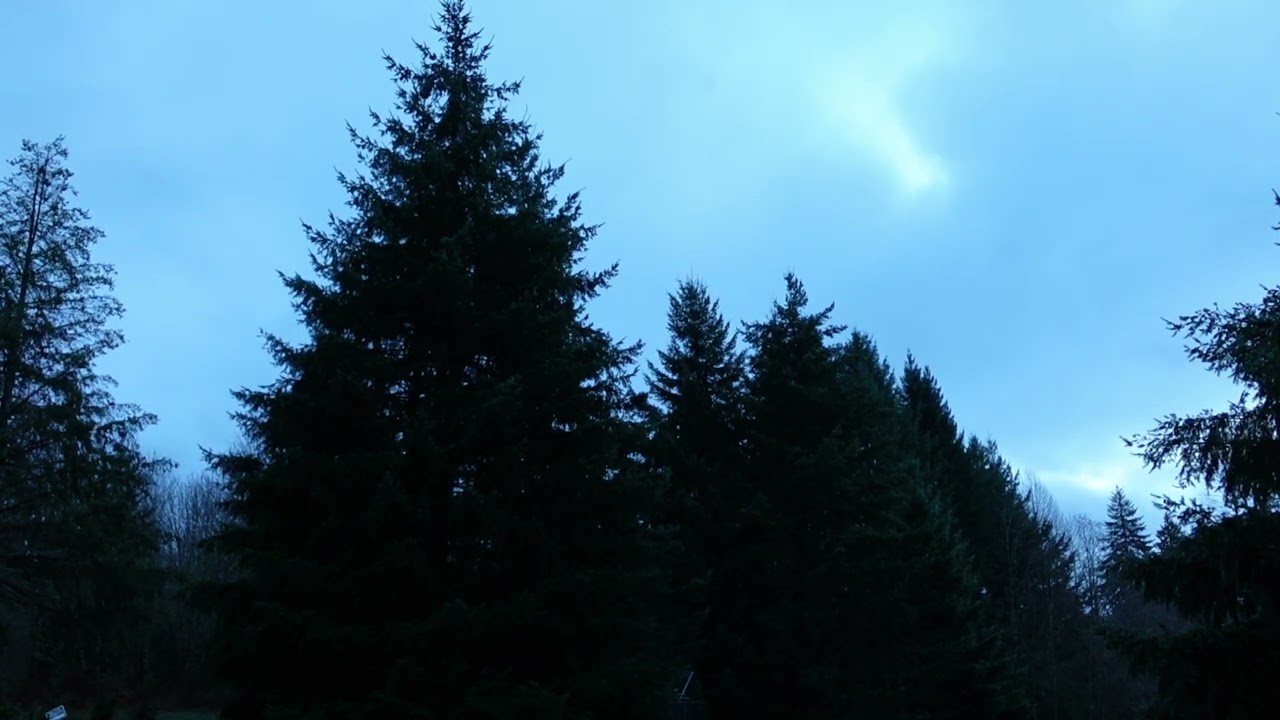 Morning Light of the 5th of January at 13x