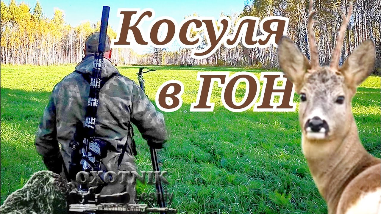 Козел с пробитым сердцем пробежал 50 метров. Охота на ГОНУ.