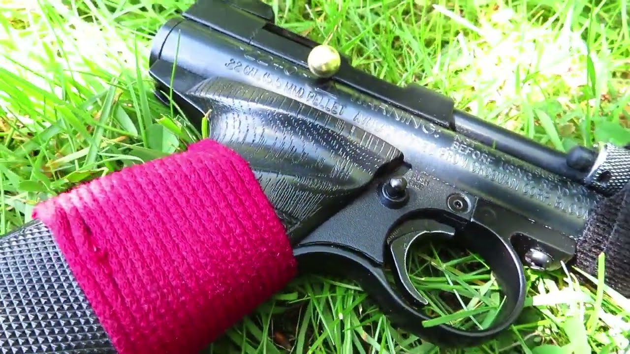 Crosman 2240 Weekly Maintenance - loading and some Shooting