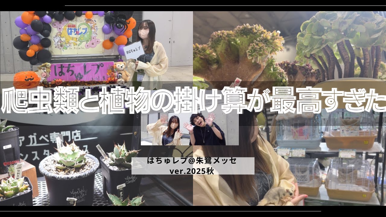 【新鮮】初アンバサダーはお店を任されたりてんやわんや？？爬虫類×植物イベント『はちゅレプ』！｜新潟｜朱鷺メッセ