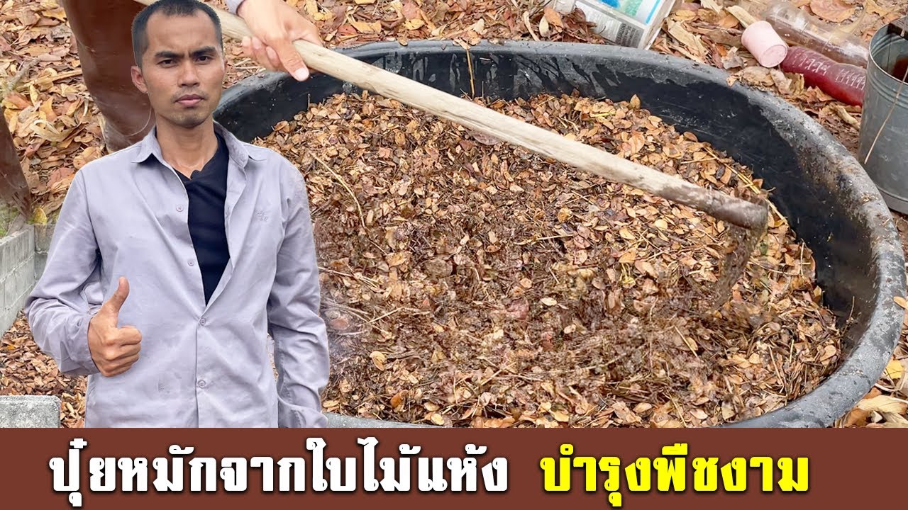 วิธีทำ ปุ๋ยหมักใบไม้แห้ง จากเศษวัสดุในสวน