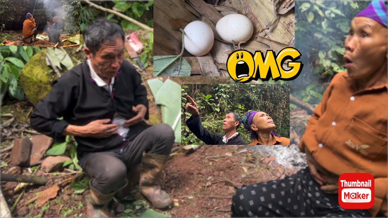 Old Couple vs Deep Jungle – Unexpected Ending 😱😳