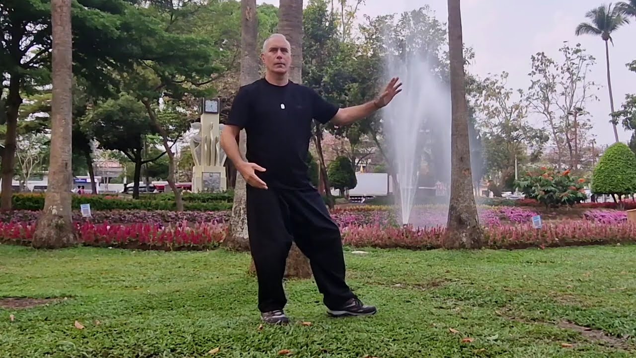 Tai Chi long form yang style - מדיטציה בתנועה