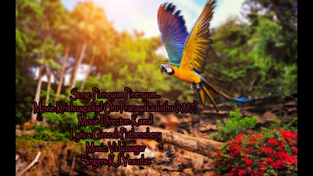 Pinneyum Pinenyum | Song With Malayalam Lyrics | |HD| Krishnagudiyil Oru Pranayakaalathu