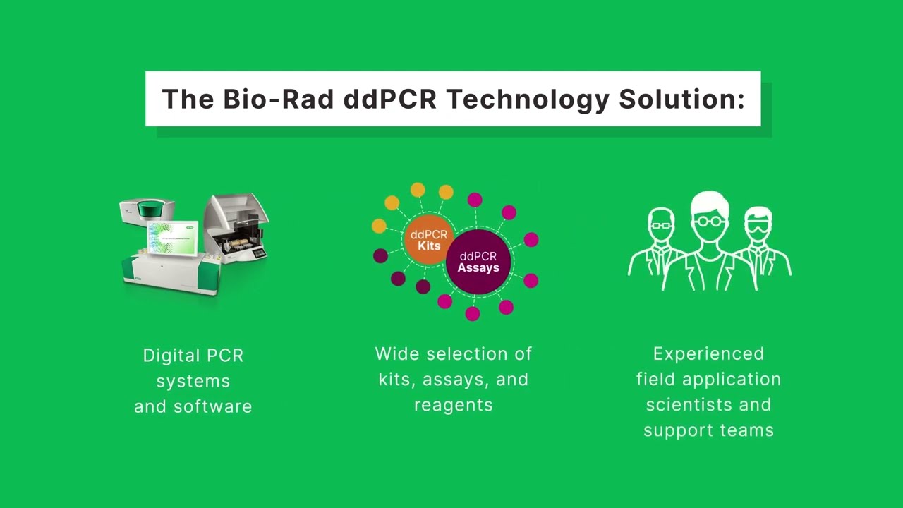 Did You Know What Defines Good Quality Digital PCR (dPCR) Data?