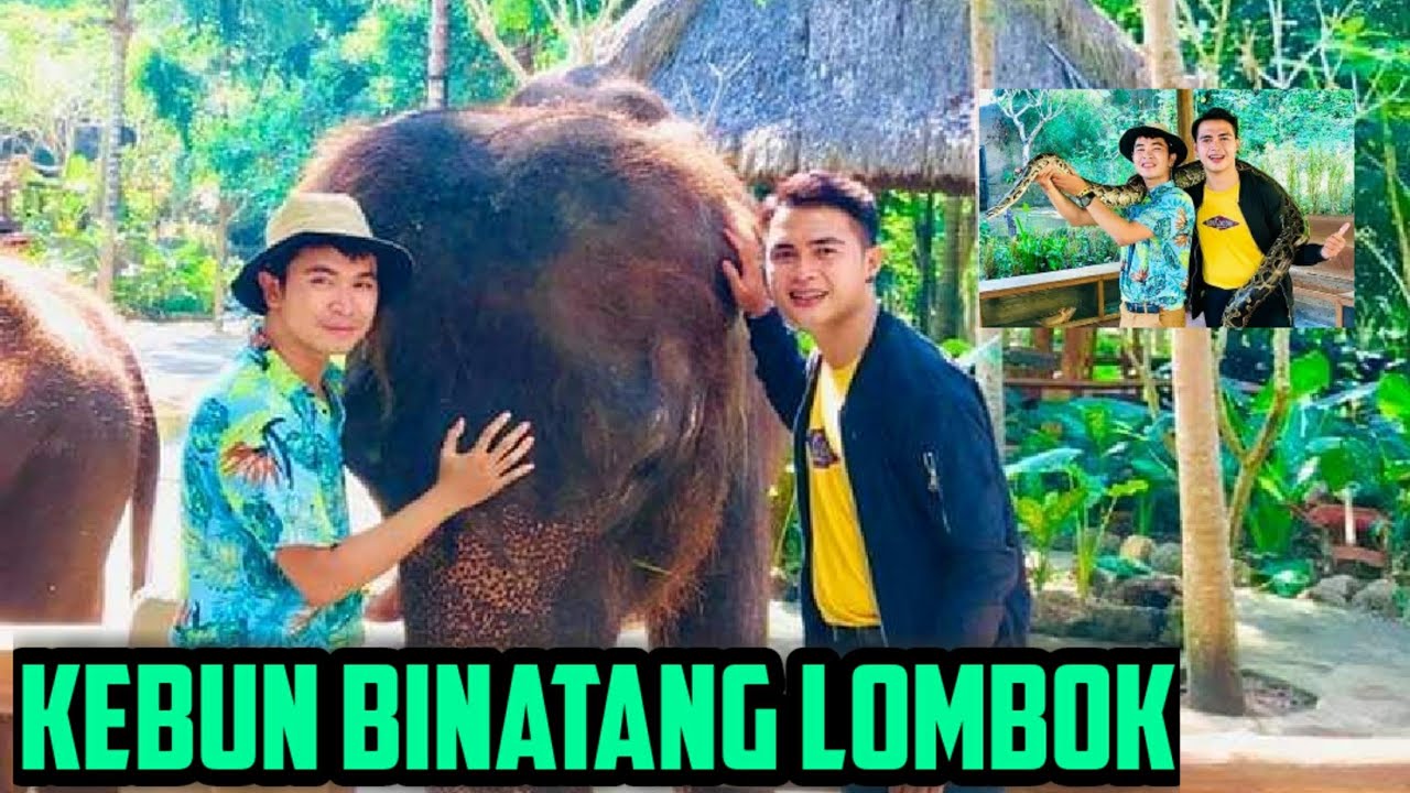 Lombok wildlife park, Kebun binatang pertama di lombok yang harus kalian coba kunjungi