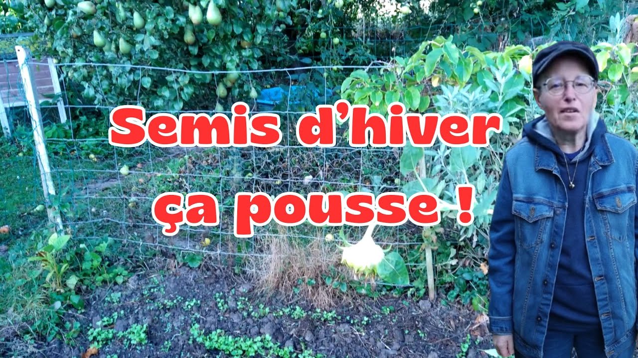 Légumes d'Hiver, ça Pousse !