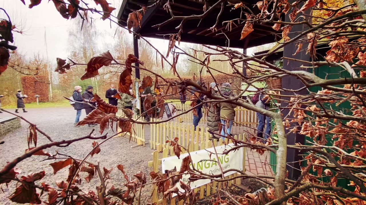 Weihnachts-Waldmarkt um Wildwald Vo&szlig;winkel am 2. und 3. Adventswochenende. Wir freuen uns.
