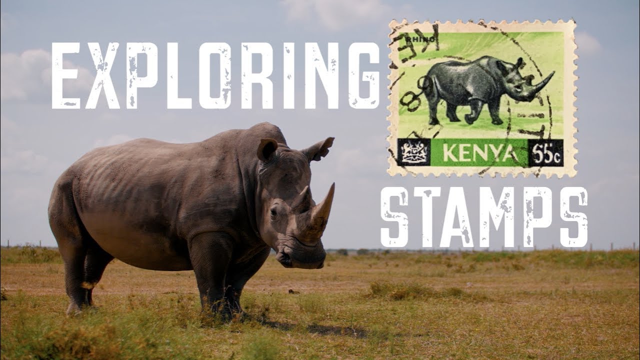 Rhinos & Kenya - S3E18