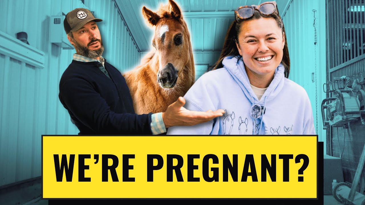 How Can We Have THAT Many Babies? | Breeding Horses 101