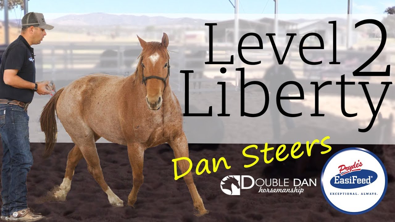 Level 2 Liberty - Double Dan Horsemanship