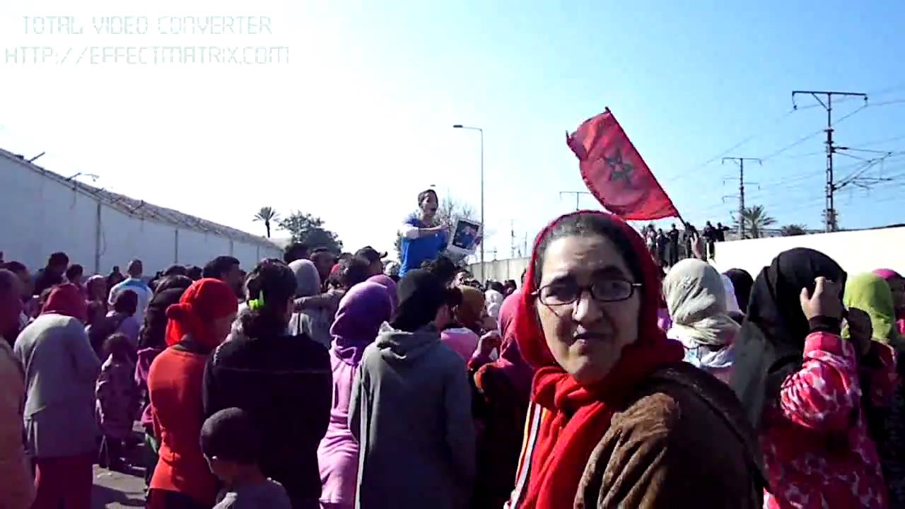 zaraba 2011