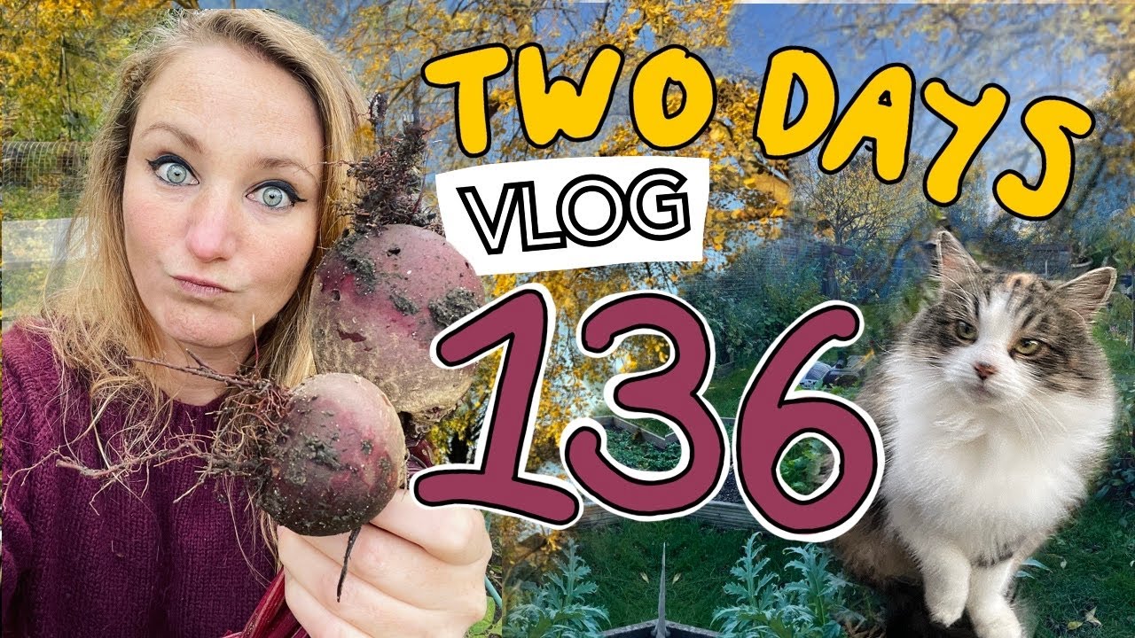 Ep136 - Two Days with No Rain! Ticking things off the allotment todo list || Plot 37