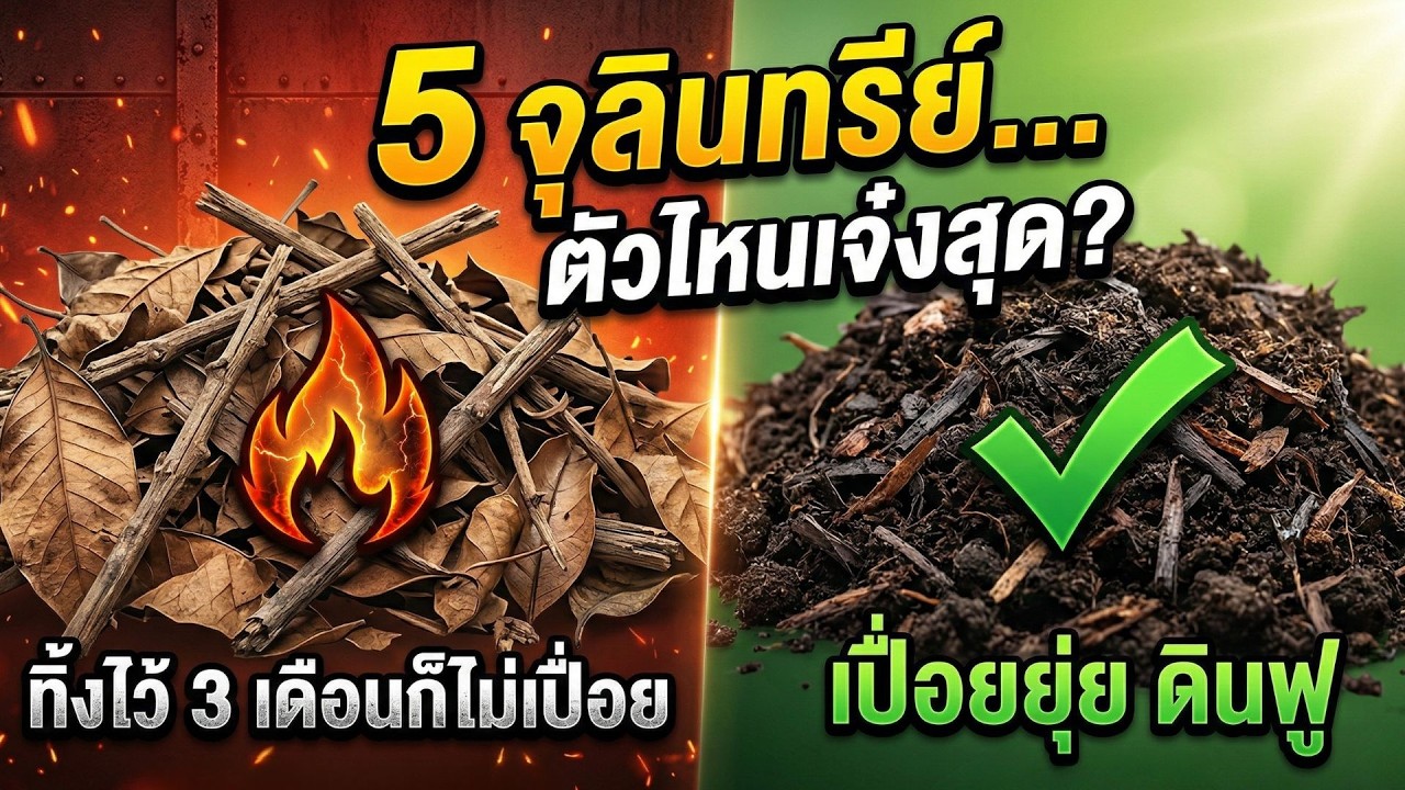 หยุดงง! 5 จุลินทรีย์ ตัวไหนเจ๋ง? แจกสูตรครอบจักรวาล ย่อยไว กันรากเน่า