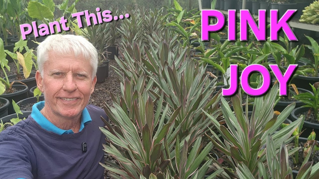Pink for Pretty Gardens
