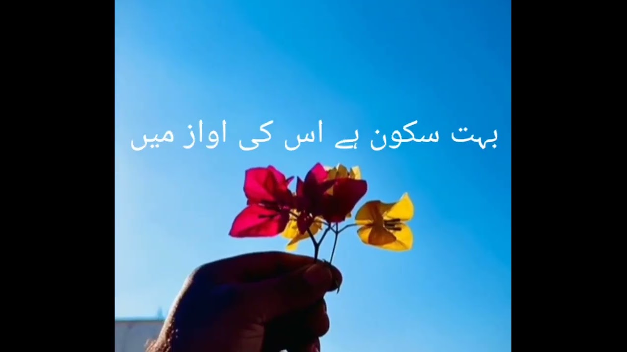 نظر کیا پڑتی ہے تیرے قدموں پر 👀🥀