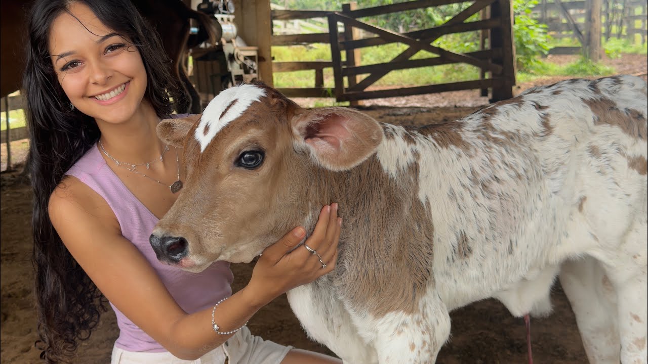 Vlog da nossa vida aqui na roça 