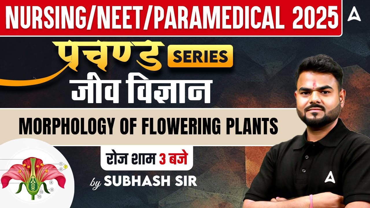 Morphology of Flowering Plants Class 11th MCQ | BSC Nursing Biology | NEET and AIIMS Paramedical