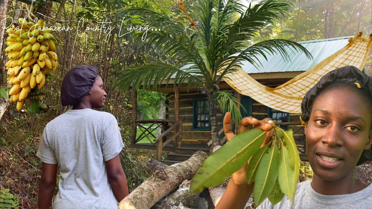 How I Found Freedom Living Off-Grid in Jamaica's Hills