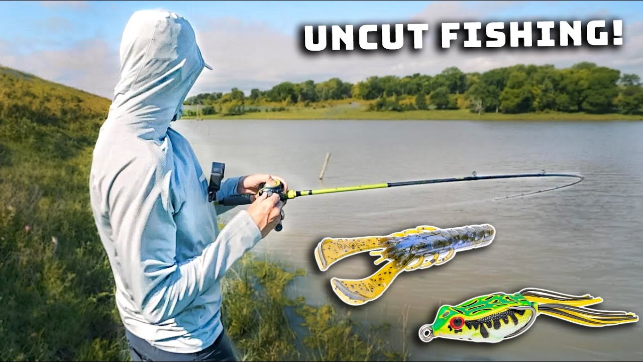 Texas Rig Vs. Frog For Summer Bass Fishing! (Uncut Pond Fishing Tips)
