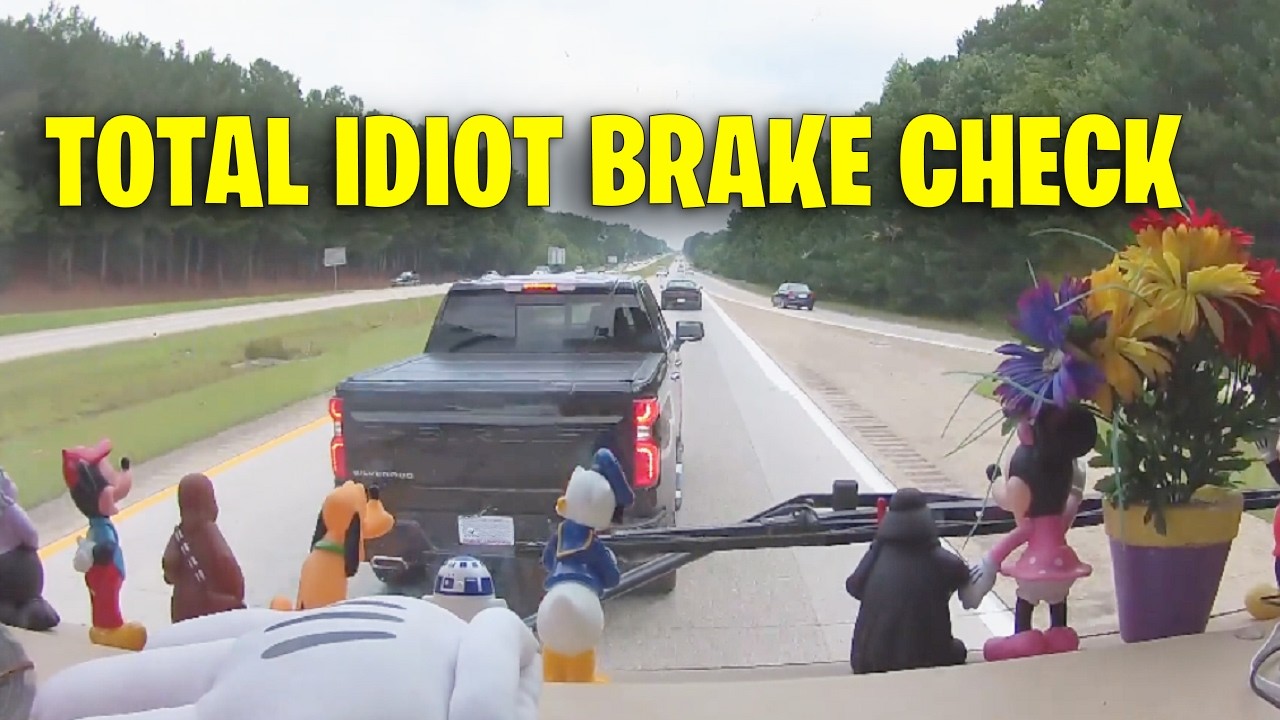 Drivers Lesson USA & Canada - Bad drivers, Driving fails, Road Rage, Brake Check 2025 #405