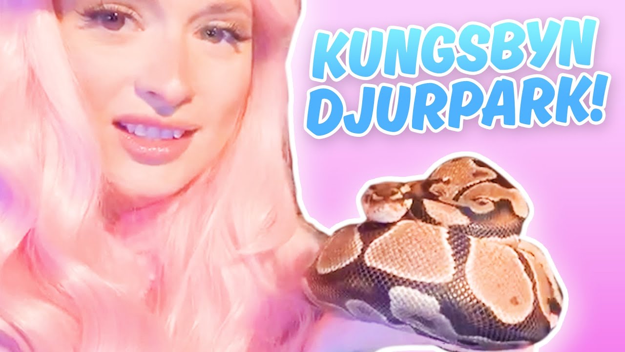 TRÄFFAR DJUREN PÅ KUNGSBYN DJURPARK I VÄSTERÅS!