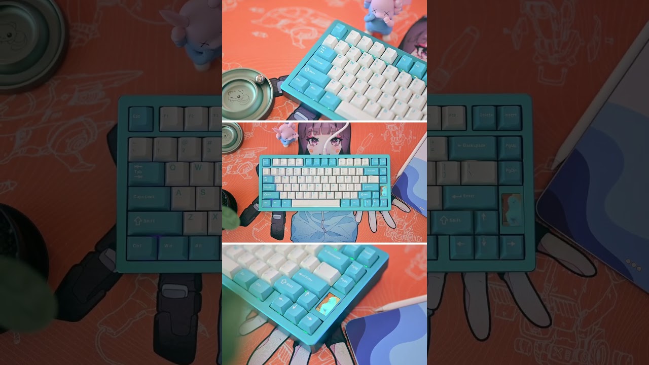 Chilkey ND75 Budget Keyboard Build. 75% Layout #mechanicalkeyboard #asmr #nd75 #thocky #typingtest
